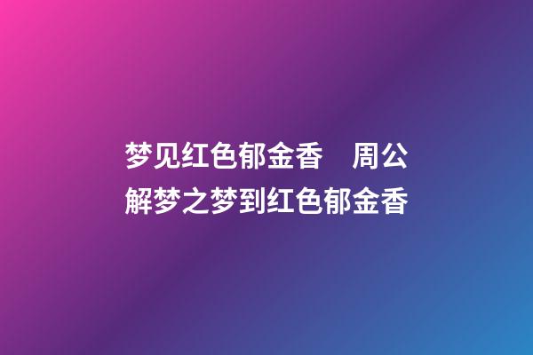梦见红色郁金香　周公解梦之梦到红色郁金香